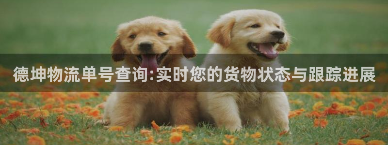 tp官网下载最新版本安装