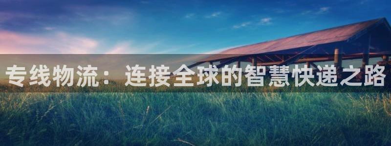 tp钱包 pig：专线物流：连接全球