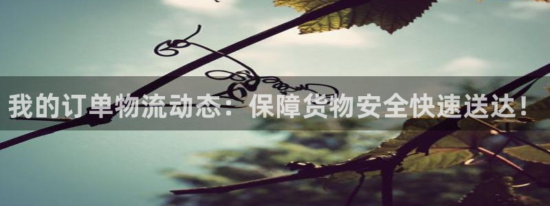tp钱包中国可以用吗：我的订单物流动