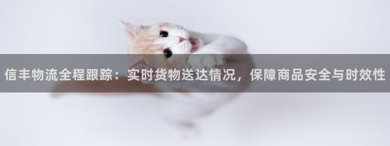 tp钱包客服售后电话