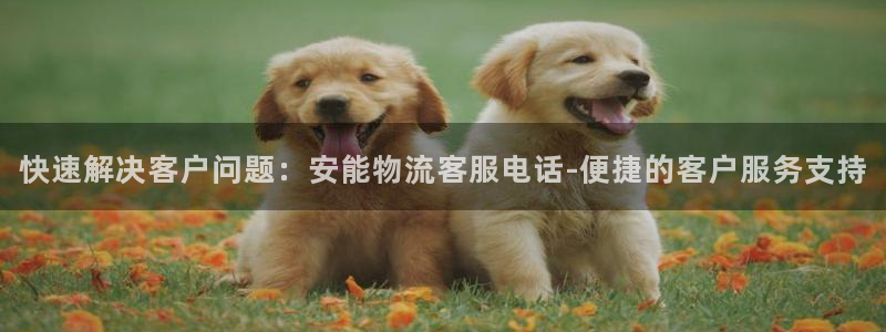 TP钱包怎么创建BNB钱包地址