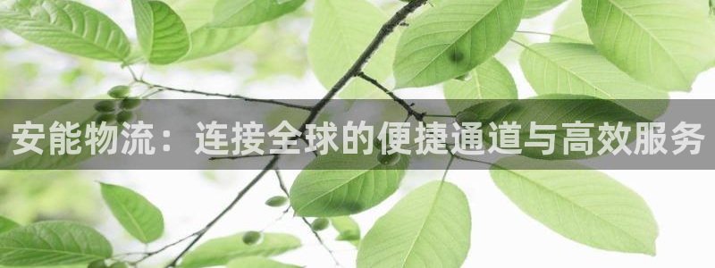 tp钱包如何跨链转账