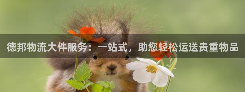 tp钱包手续费多少：德邦物流大件服务