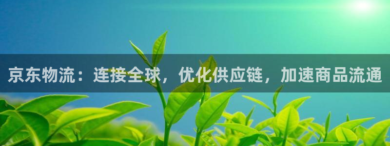 tp钱包trc20转账