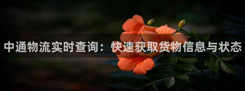 tp钱包怎么用人民币购买usdt