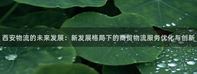 tp钱包dodo怎么挖矿