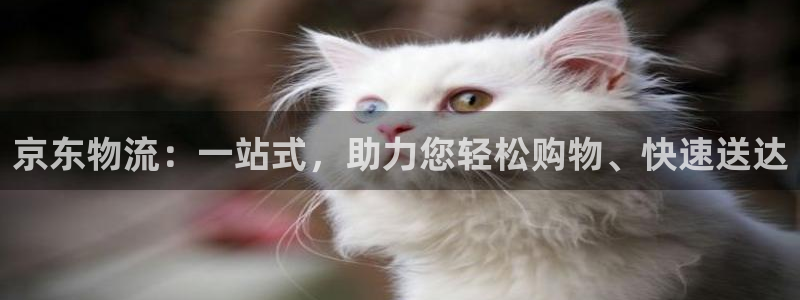 tp钱包怎么转换币