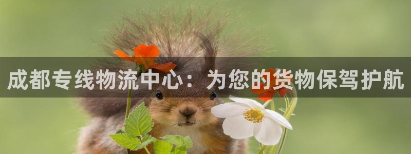tp钱包买pig币：成都专线物流中心