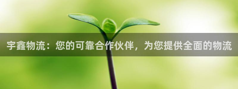 tp钱包官网下载app最新版本