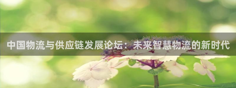 tp数字钱包安全吗：中国物流与供应链
