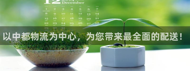 tp钱包怎么设置人民币：以中都物流为