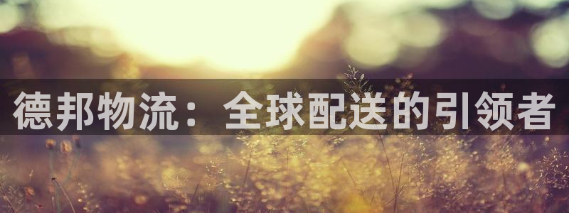 tp官网钱包网址：德邦物流：全球配送