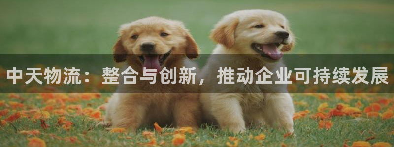 tp钱包倒闭了：中天物流：整合与创新
