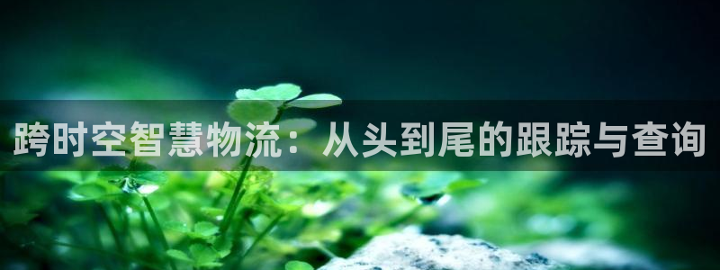 tp钱包地址哪儿看：跨时空智慧物流：