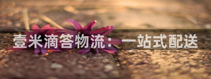 tp观察钱包怎么变成热钱包：壹米滴答