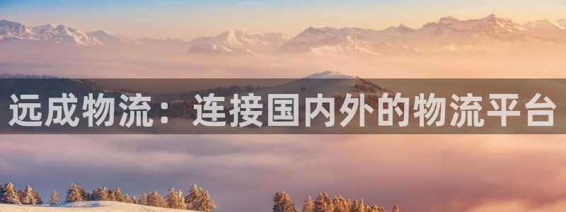 tptp官方下载入口：远成物流：连接