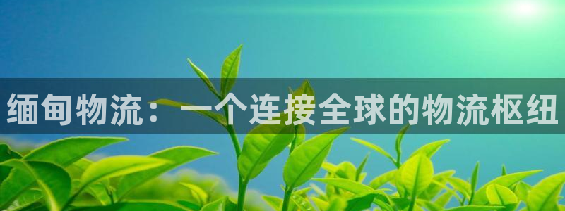 tp钱包APK：缅甸物流：一个连接全