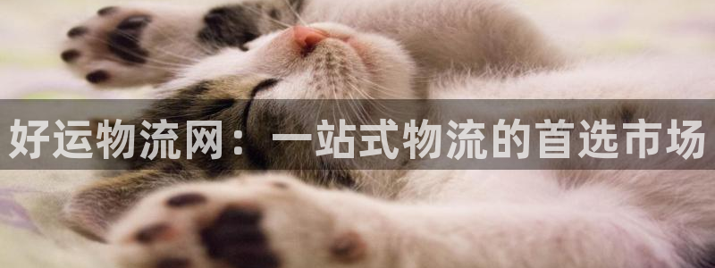 tp钱包怎么改支付密码：好运物流网：