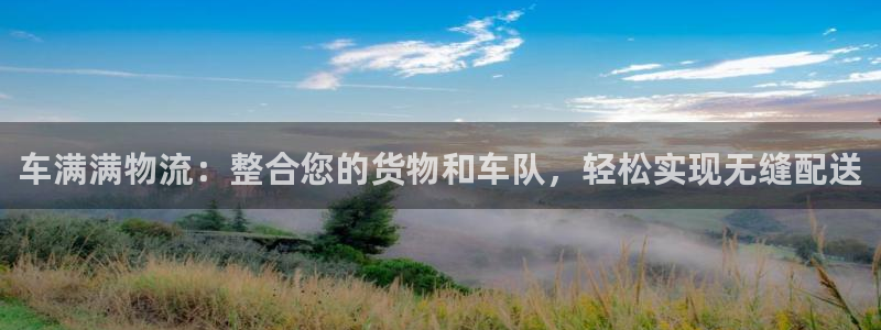 tp钱包转出bnb：车满满物流：整合