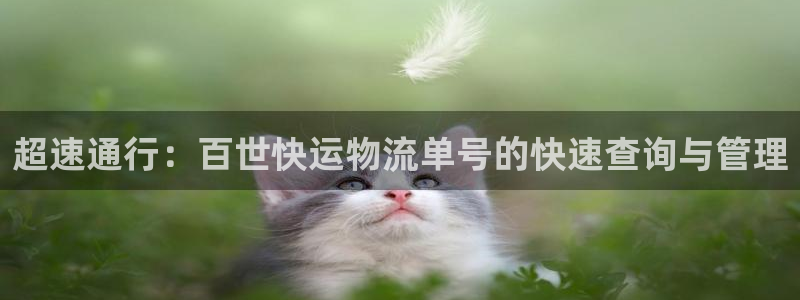 tp钱包转账转到了合约地址