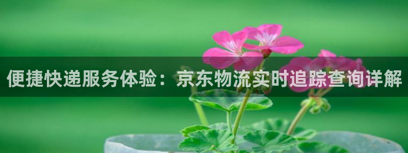 tp钱包justswap打不开