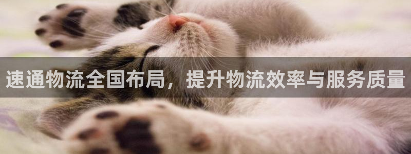 tp钱包能挖矿吗：速通物流全国布局，