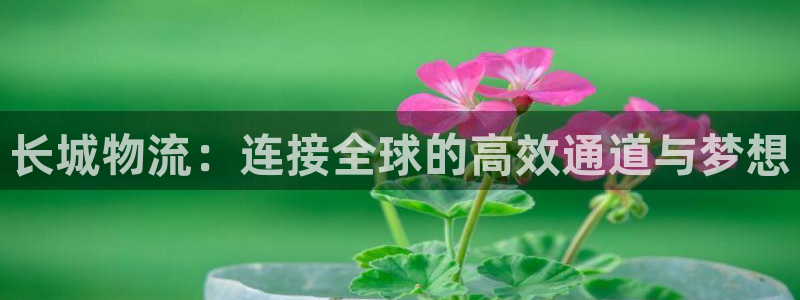 TP钱包买能量失败是为什么：长城物流
