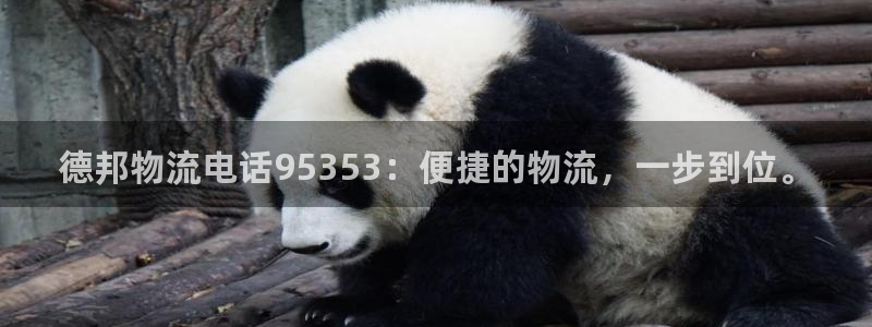 TPG下载软件：德邦物流电话9535