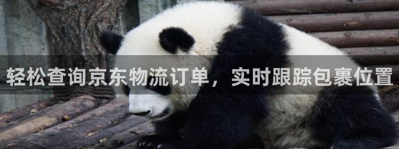 TP钱包安卓版官方网下载：轻松查询京