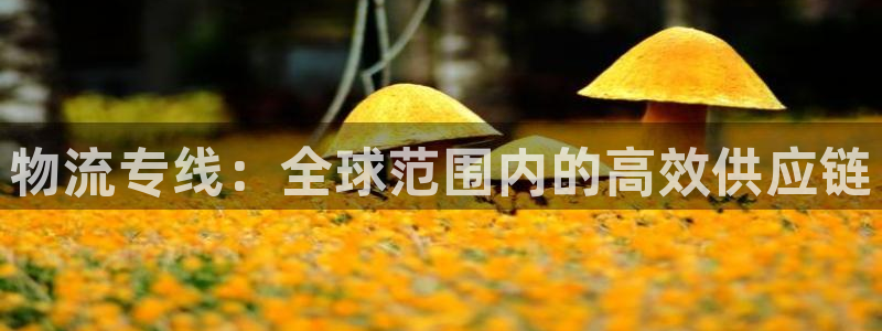 tp钱包app官方下载地址