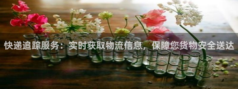 tp钱包设置滑点：快递追踪服务：实时
