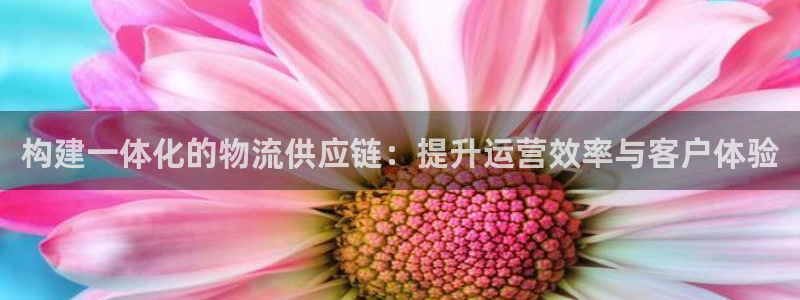 TP钱包安卓app：构建一体化的物流