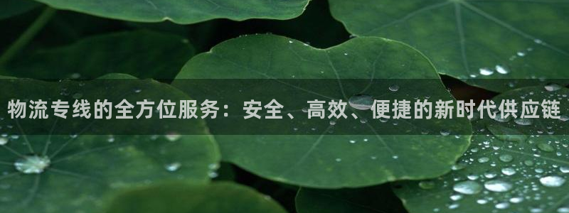 TP钱包最新版APP