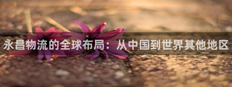 tp钱包APK