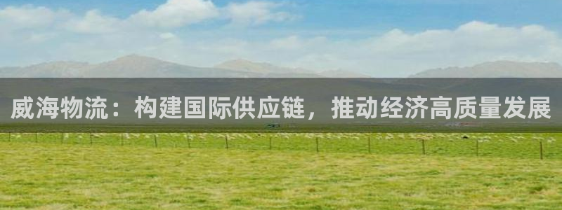 tp钱包里面怎么交易：威海物流：构建