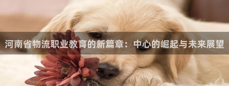 tp钱包平台币