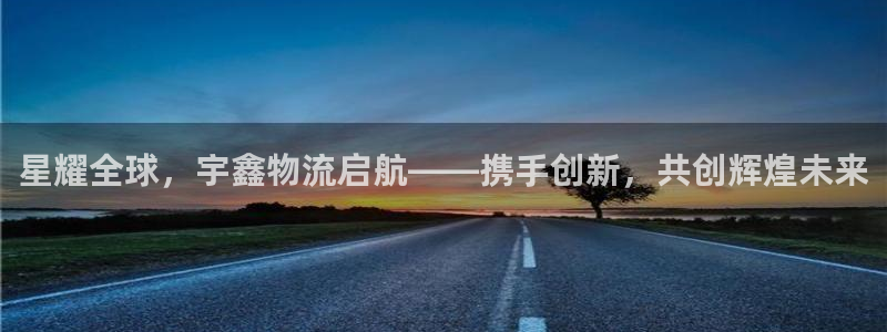 tp钱包怎么上新币：星耀全球，宇鑫物