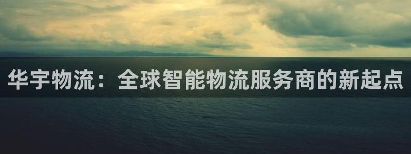 tp钱包官网下载ios版本：华宇物流