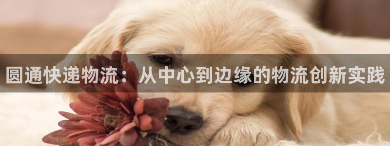 tp钱包地址别名：圆通快递物流：从中