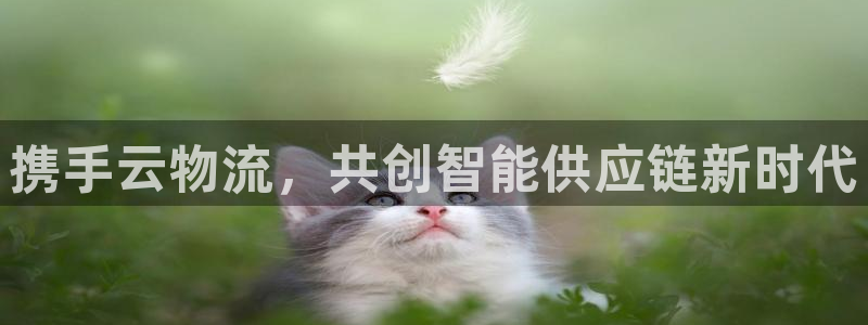 tp钱包提错：携手云物流，共创智能供