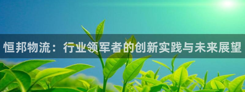 tplink android：恒邦物