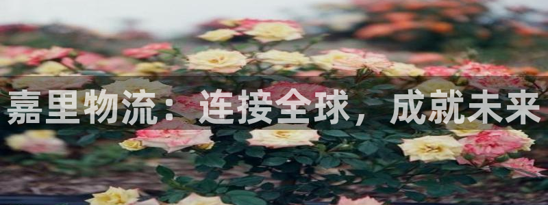tp官网下载钱包：嘉里物流：连接全球