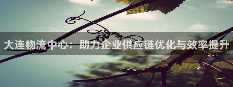 tp钱包怎么购买pig：大连物流中心