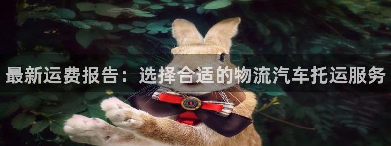 tp钱包提币地址：最新运费报告：选择