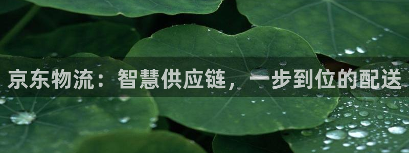 tp钱包怎样绑定关系：京东物流：智慧