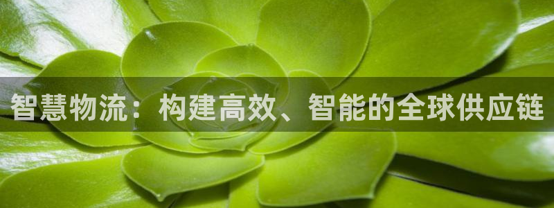 tp钱包存fil：智慧物流：构建高效