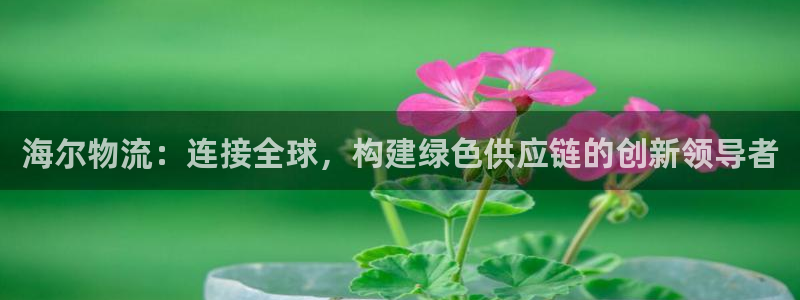 tp钱包里的usdt怎么转出来：海尔
