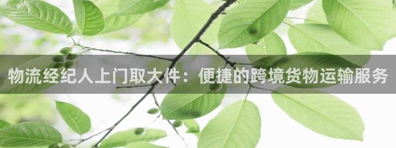 tp钱包app官网Itp：物流经纪人