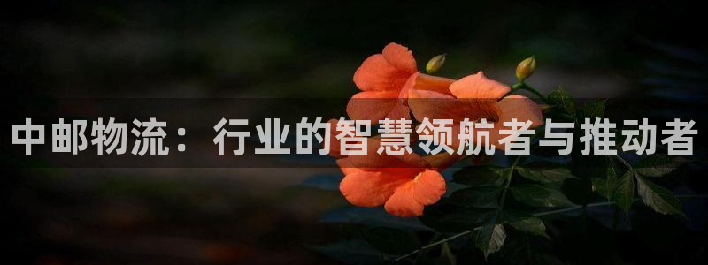 tp钱包下载app安卓版教程：中邮物