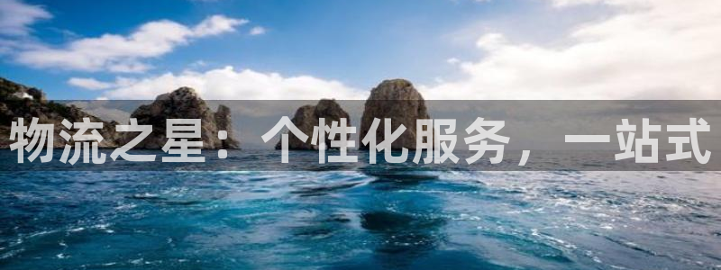 tp钱包官网下载app正版：物流之星